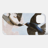 Coques Case-Mate iPhone Audubon : Hirondelle d'arbre (Verso (horizontal))