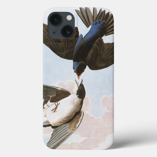 Coques Case-Mate iPhone Audubon : Hirondelle d'arbre (Verso)