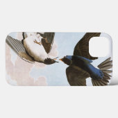 Coques Case-Mate iPhone Audubon : Hirondelle d'arbre (Verso (horizontal))