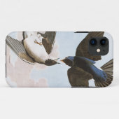 Coques Case-Mate iPhone Audubon : Hirondelle d'arbre (Dos (Horizontal))