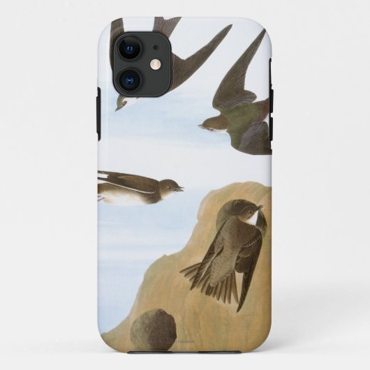 Coques Case-Mate iPhone Audubon : Hirondelles (Dos)