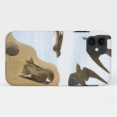 Coques Case-Mate iPhone Audubon : Hirondelles (Dos (Horizontal))