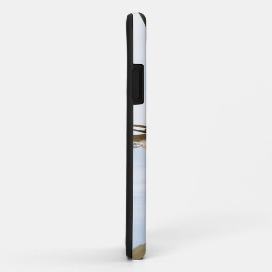 Coques Case-Mate iPhone Audubon : Hirondelles (Dos/Droite)