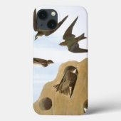 Coques Case-Mate iPhone Audubon : Hirondelles (Verso)