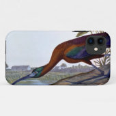 Coques Case-Mate iPhone Audubon : IBIS brillant (Dos (Horizontal))