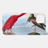 Coques Case-Mate iPhone Audubon : Ibis écarlate (Verso (horizontal))