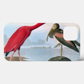 Coques Case-Mate iPhone Audubon : Ibis écarlate (Verso (horizontal))