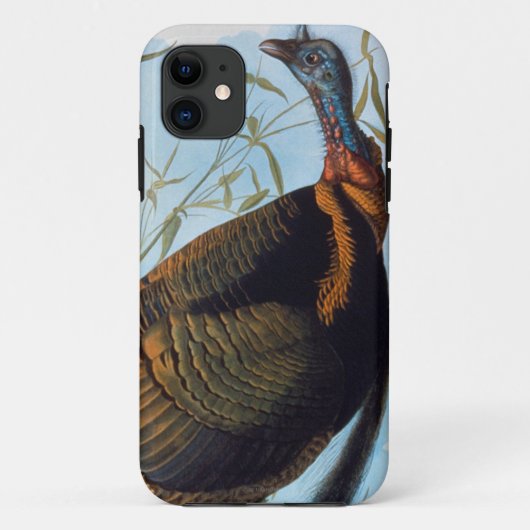 Coques Case-Mate iPhone Audubon : La Turquie sauvage (Dos)