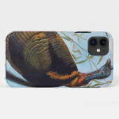 Coques Case-Mate iPhone Audubon : La Turquie sauvage (Dos (Horizontal))