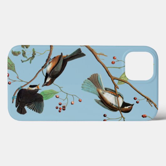 Coques Case-Mate iPhone Audubon : Le poulet (Verso (horizontal))