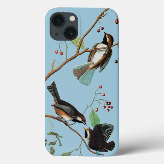Coques Case-Mate iPhone Audubon : Le poulet (Verso)