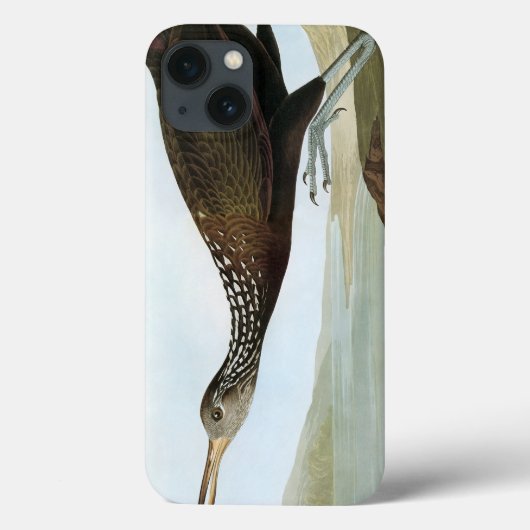 Coques Case-Mate iPhone Audubon : Limpkin (Verso)