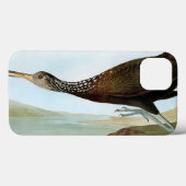 Coques Case-Mate iPhone Audubon : Limpkin (Verso (horizontal))