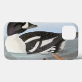 Coques Case-Mate iPhone Audubon : L'oeil d'or de Barrow (Verso (horizontal))
