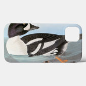 Coques Case-Mate iPhone Audubon : L'oeil d'or de Barrow (Verso (horizontal))