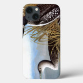 Coques Case-Mate iPhone Audubon : Loon commun (Verso)