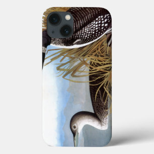 Etui iPhone 13 Audubon : Loon commun