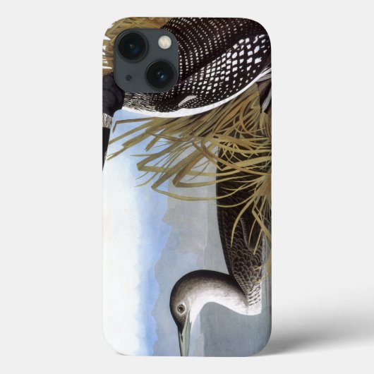 Coques Case-Mate iPhone Audubon : Loon commun (Verso)