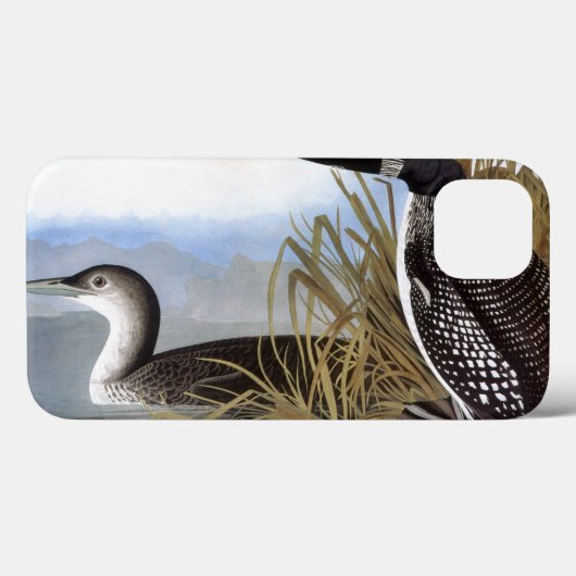 Coques Case-Mate iPhone Audubon : Loon commun (Verso (horizontal))