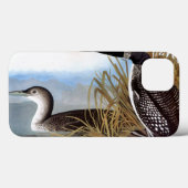 Coques Case-Mate iPhone Audubon : Loon commun (Verso (horizontal))
