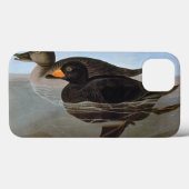 Coques Case-Mate iPhone Audubon : Macreuse noire (Verso (horizontal))