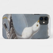 Coques Case-Mate iPhone Audubon : Mouette Anneau-Affichée (Dos (Horizontal))