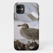 Coques Case-Mate iPhone Audubon : Mouette d'harengs (Dos)