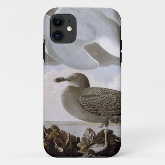 Coques Case-Mate iPhone Audubon : Mouette d'harengs (Dos)