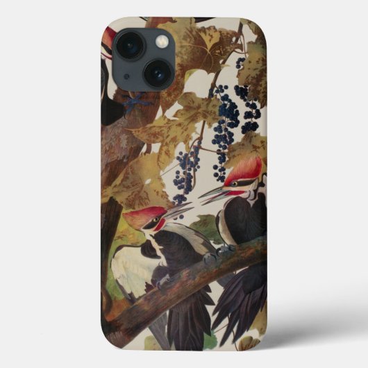 Coques Case-Mate iPhone Audubon Peinture d'Oiseaux Pic Pilé (Verso)