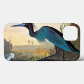 Coques Case-Mate iPhone Audubon : Petit héron bleu (Verso (horizontal))