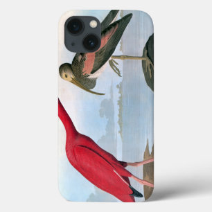 Coques Pour iPhone Audubon Scarlet Ibis
