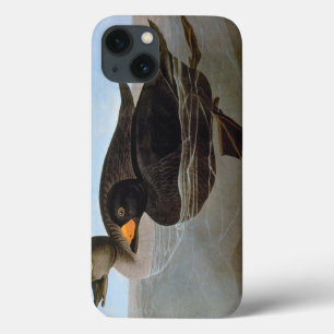 Etui iPhone 13 Audubon : Scoter noir