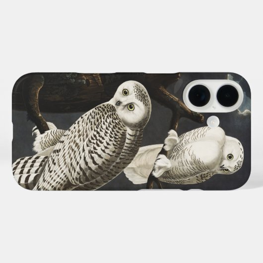 Coques Case-Mate iPhone Audubon Snowy Owl Bird Artwork (Verso (horizontal))
