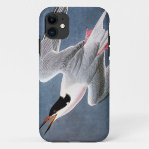 Coque iPhone 11 Audubon : Sterne rose
