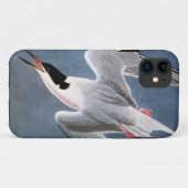Coques Case-Mate iPhone Audubon : Sterne rose (Dos (Horizontal))