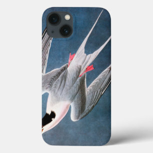 Etui iPhone 13 Audubon : Sterne rose