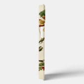 Coques Case-Mate iPhone Audubon Throsé de colibri (Verso / Droite)