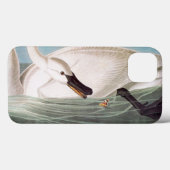 Coques Case-Mate iPhone Audubon: Trumpeter Swan (Verso (horizontal))