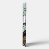 Coques Case-Mate iPhone Audubon: Wild Turkey (Verso / Droite)