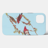 Coques Case-Mate iPhone Audubon's Purple Finch Red Birds (Verso (horizontal))