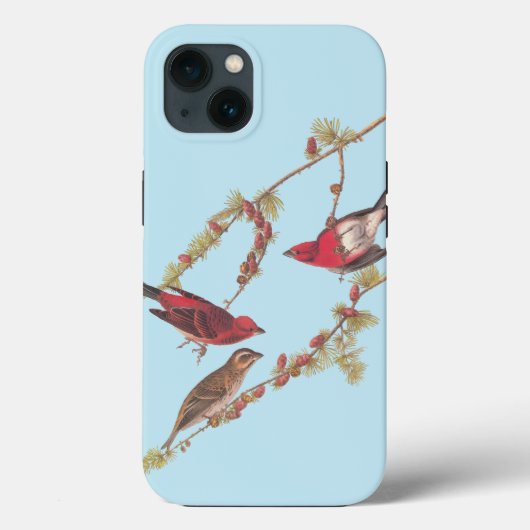 Coques Case-Mate iPhone Audubon's Purple Finch Red Birds (Verso)