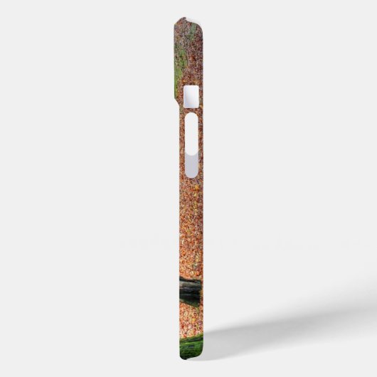 Coques Case-Mate iPhone Automne dans le parc (Verso / Gauche)