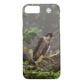 Coques Case-Mate iPhone Automne - Faucon pèlerin (Dos)