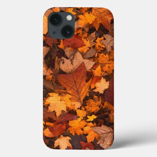 Coques Case-Mate iPhone automne, feuille, feuillage (Verso)