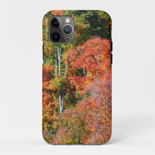 Case-Mate iPhone Case Automne Hillside Colorful Automne Nature Photograp