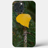 Coques Case-Mate iPhone Automne Jaune Quaking Aspen Leaf Photographie (Verso)