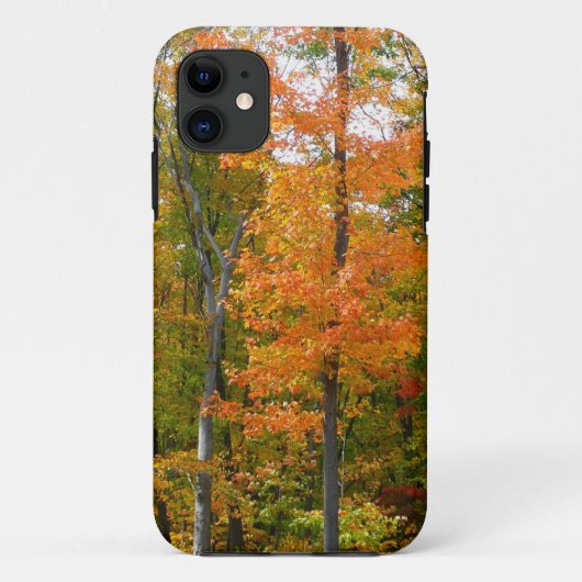 Coques Case-Mate iPhone Automne Maple Trees Automne Photographie de la nat (Dos)