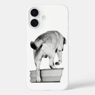Coques iPhone 16 Avance, Toujours
