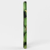 Coques Case-Mate iPhone Avocats bio (Dos/Droite)