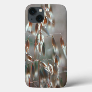 Etui iPhone Case-Mate Avoine Mûre (Avena Sativa) Gros Plan. Ceres, Bolan